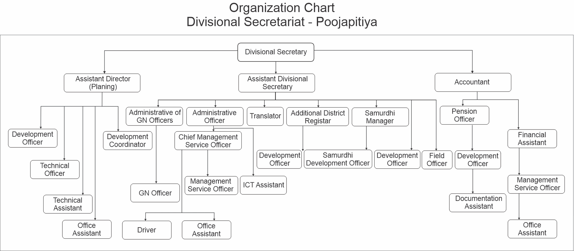 Organazation Chart
