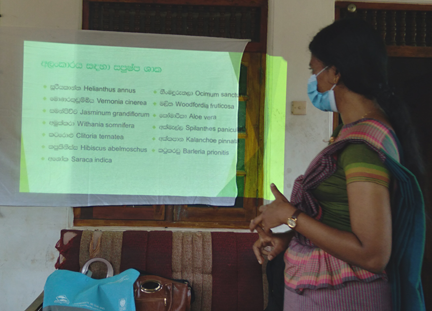 Awareness program on herbs and organic fertilizers